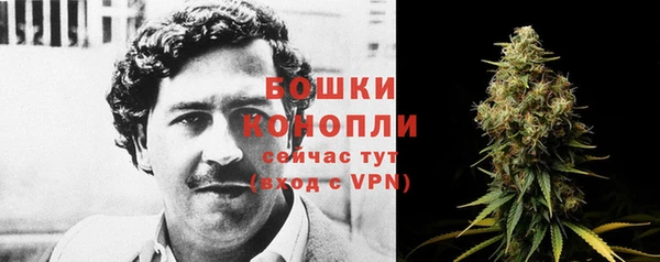 твердый Горно-Алтайск