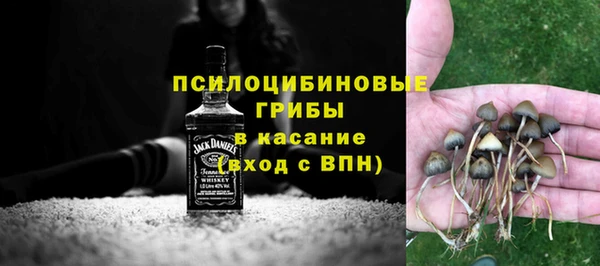 твердый Горно-Алтайск