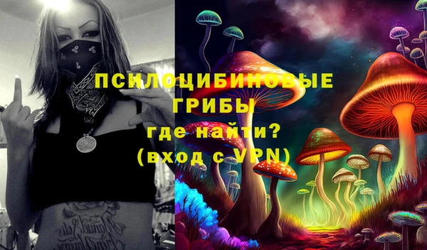 героин Горняк