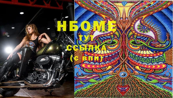 дживик Гусев