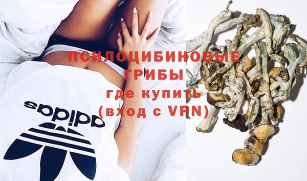 героин Горняк