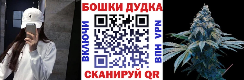 Каннабис планчик Каневская